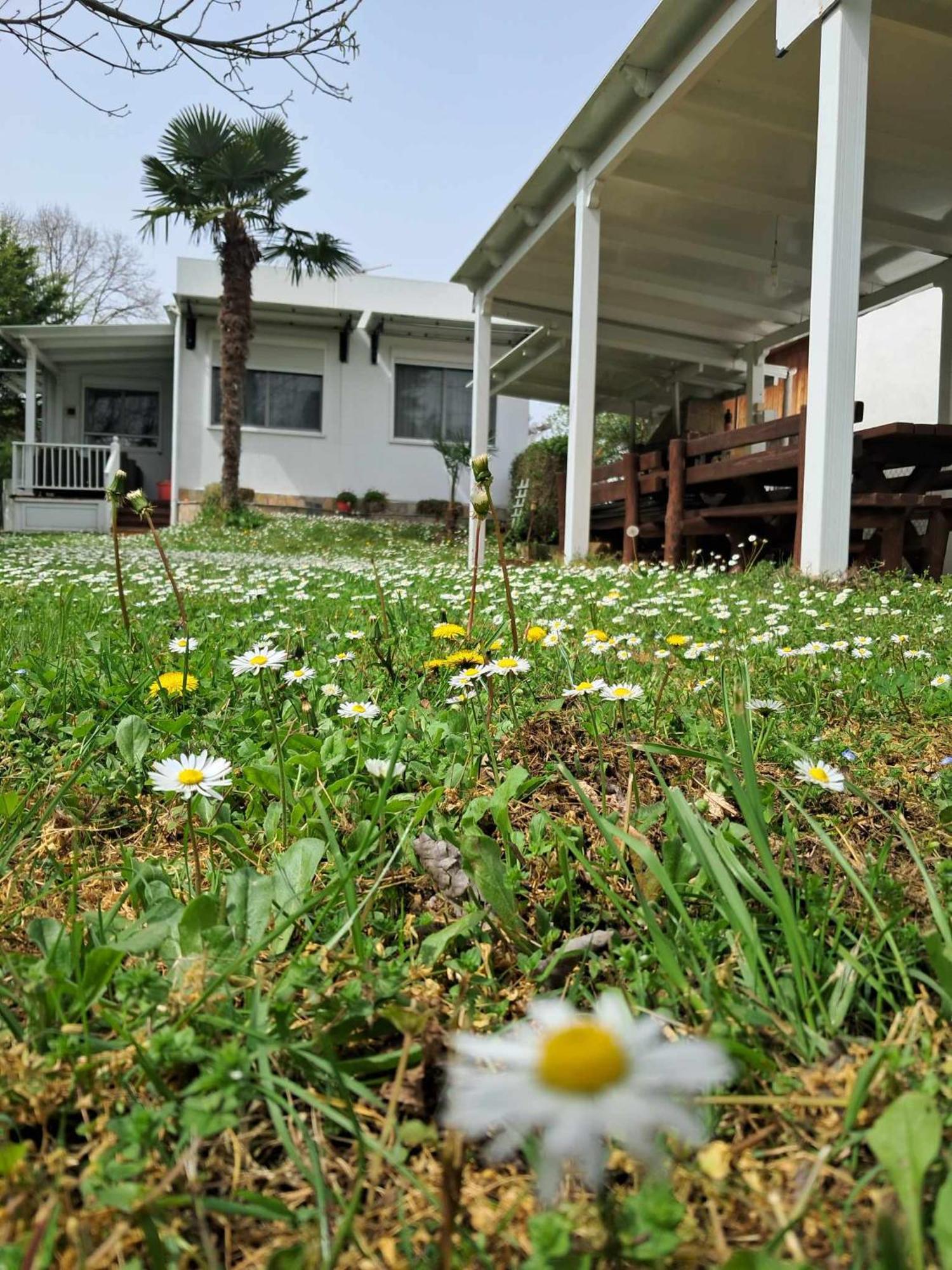Olympus Miracle Villa Limín Litochórou Dış mekan fotoğraf